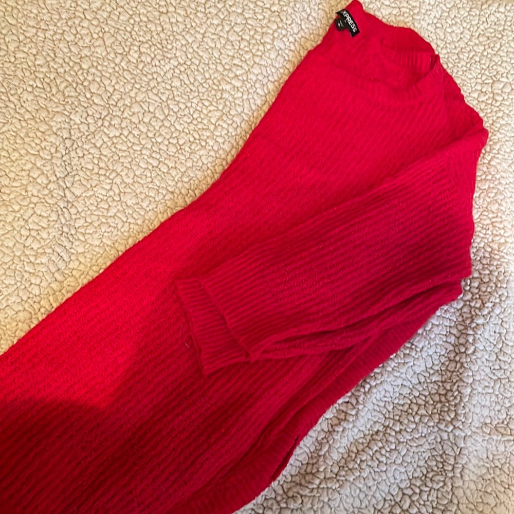 Red express knit sweater